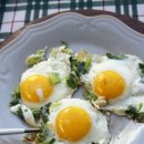 매일반찬 이미지