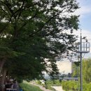 목척교 | 대전 포장마차 야장 목척교 충북집 후기