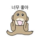 양지에너지(주) | 제주 한우 맛집] ‘돌격한우’ 에서 한우 갈비 배터지게 먹은 후기(제주 연동 맛집, 제주로컬 고기집 추천)