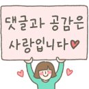 천안산들바람글램핑장 이미지