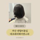 센텀 미용실 에코레비헤어앤스파 해운대센텀점에서 두피클리닉 받은 후기