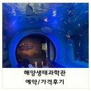 해양생태전시관 | 해양생태과학관 : 예약, 가격, 후기