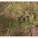 산속농원 이미지