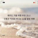 숲으로 떠나는 힐링 여행 이미지