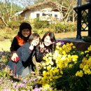 촌돼지 명가 이미지