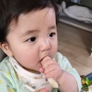 푸룻한세상 이미지