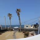 제주마중 판포 이미지