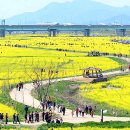 낙동강관리본부 대저생태공원 6 이미지