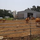 병성농장 이미지