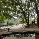 장성농장 이미지