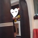 피노키오 복싱 이미지