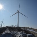 그린제일목장 이미지