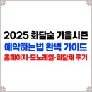 화담숲 예약하는법 완벽 가이드 (홈페이지·모노레일·화담채 후기까지)