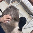 연남동 미누 이미지
