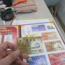 용인대 국가대표 해들 태권도 이미지