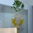 요가&필라테스Ⅰ 이미지