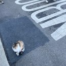 뱀부포레스트(BAMBOO Forest) | [김포 하성면 맛집] 뱀부포레스트(BAMBOO Forest)