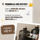가치를담다