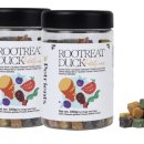 춘기의 집 이미지