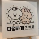 다정하개 펫살롱 이미지