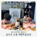 경기도 양평군 양평유치원 | 양평아이와함께 굼프로곤충체험농장 동물먹이주기 만들기체험 실내놀거리 추천후기