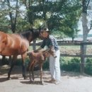 유정목장 이미지