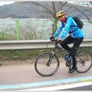 낭만자전거 이미지