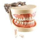 한일 soft 이미지