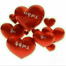 희플라워 - 부평구 마장로 72 | 희플라워