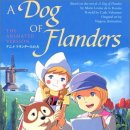 파트라슈 이미지