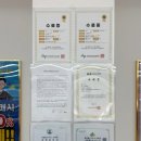 폰플러스 네이버블로그