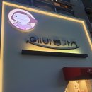 에바돈카츠성남 | [에바돈가츠 성남위례신도시점] 위례광장맛집 위례돈까스맛집 후기