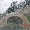 내장사 - 711 | 정읍 가볼만한곳 내장산 내장사 단풍터널 방문 후기