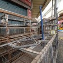 말바우 농장 이미지