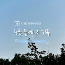 (주)제이씨홈 | [공지] 2주 차 블챌을 3주 차에 쓰게 됐다, 9월 둘째 주 일상 기록 레츠고.🌙
