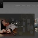 (주)스타럭스 이미지