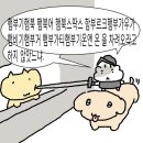 방가스 이미지