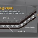 씨엔에코 이미지