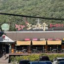 팔당초계국수 이미지