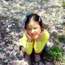 소풍민박 이미지