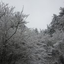 큰산농장 이미지