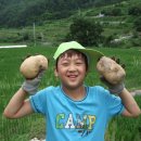 신광환