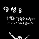 소떼들 이미지