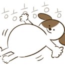 원주뚝배기짬뽕기업도시점 이미지