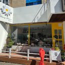 백범로 227번길 | [상견례] 선물 추천 서양난(호접란) 화분 준비 인천 만수동 플랑플라워