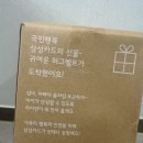 파란색싹어린이집 | 셋째 임신 중기 이야기