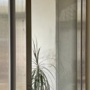 대흥다방 - 안동시 중앙시장1길 75 | 대흥다방