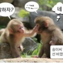 인생이술술술 네이버블로그