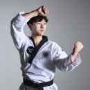코리아타이거즈태권도 이미지