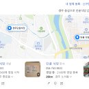 경주단골식당 오징어불고기 내돈내산 후기